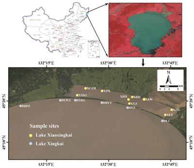 Spatiotemporal variation and ecological risk assessment of sediment heavy metals in two hydrologically connected lakes
